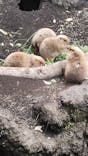 恩賜上野動物園に投稿された画像（2025/1/4）