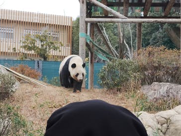 恩賜上野動物園に投稿された画像（2025/1/4）