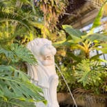 アロハガーデンたてやまに投稿された画像（2025/1/4）