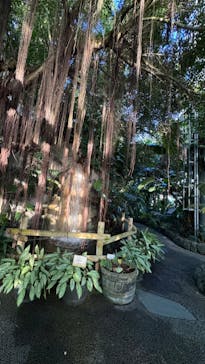 アロハガーデンたてやまに投稿された画像（2025/1/4）