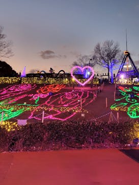 みろくの里に投稿された画像（2025/1/4）