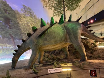 福井県立恐竜博物館に投稿された画像（2025/1/4）