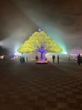 東京メガイルミに投稿された画像（2025/1/4）