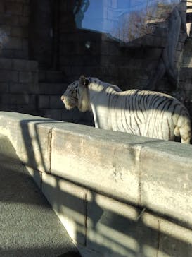 東武動物公園に投稿された画像（2025/1/4）