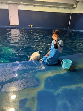 島根県立 しまね海洋館に投稿された画像（2025/1/4）