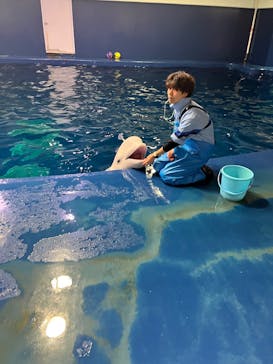 島根県立 しまね海洋館に投稿された画像（2025/1/4）