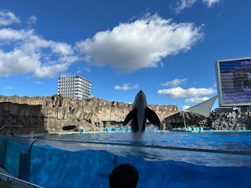 名古屋港水族館に投稿された画像（2025/1/4）