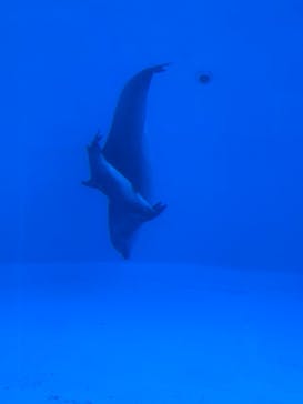 名古屋港水族館に投稿された画像（2025/1/4）