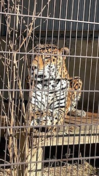 名古屋市東山動植物園に投稿された画像（2025/1/4）