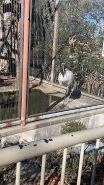 名古屋市東山動植物園に投稿された画像（2025/1/4）