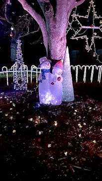 つま恋イルミネーションに投稿された画像（2025/1/4）