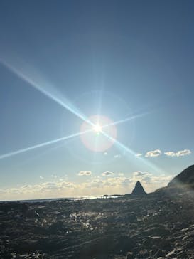 串本海中公園水族館に投稿された画像（2025/1/4）