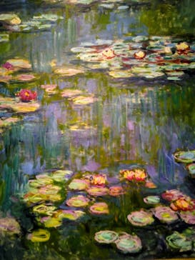 モネ 睡蓮のとき（国立西洋美術館）に投稿された画像（2025/1/4）