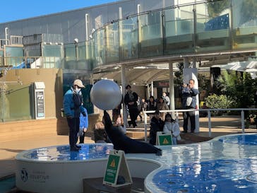 サンシャイン水族館に投稿された画像（2025/1/4）