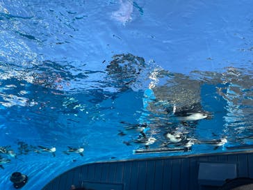 サンシャイン水族館に投稿された画像（2025/1/4）