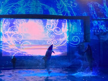 横浜・八景島シーパラダイスに投稿された画像（2025/1/4）