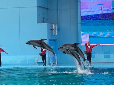 横浜・八景島シーパラダイスに投稿された画像（2025/1/4）