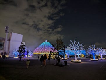 東京メガイルミに投稿された画像（2025/1/4）