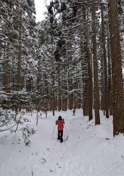 白神山地森のえき（（一社）白神山地ふじさと観光協会）に投稿された画像（2024/12/30）