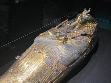 MYSTERY OF TUTANKHAMEN 体感型古代エジプト展に投稿された画像（2025/1/4）