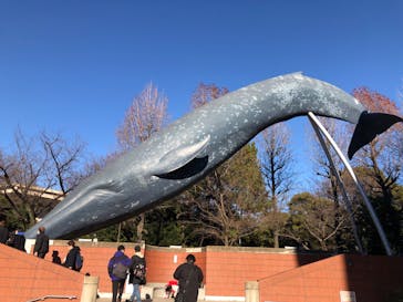 国立科学博物館に投稿された画像（2025/1/4）