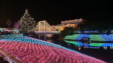 レオマリゾートに投稿された画像（2025/1/4）