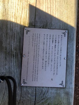 ムーミンバレーパークに投稿された画像（2025/1/4）