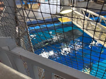 沖縄美ら海水族館に投稿された画像（2025/1/4）