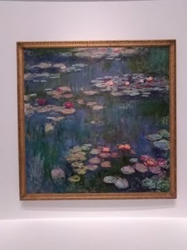 モネ 睡蓮のとき（国立西洋美術館）に投稿された画像（2025/1/4）