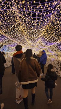 東京メガイルミに投稿された画像（2025/1/4）