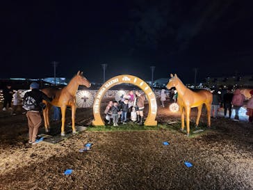 東京メガイルミに投稿された画像（2025/1/4）