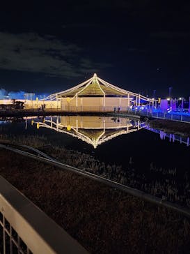 東京メガイルミに投稿された画像（2025/1/4）