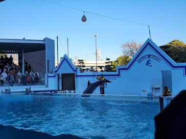 しながわ水族館に投稿された画像（2025/1/4）