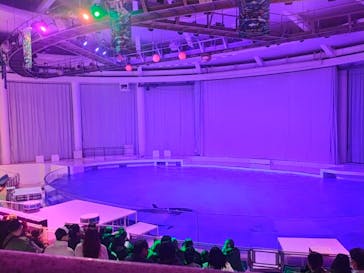 アクアワールド茨城県大洗水族館に投稿された画像（2025/1/4）