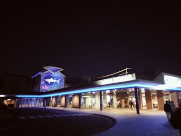 アクアワールド茨城県大洗水族館に投稿された画像（2025/1/4）