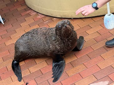 マクセル アクアパーク品川に投稿された画像（2025/1/4）