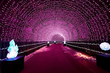 NESTA RESORT KOBE（ネスタリゾート神戸）に投稿された画像（2025/1/4）