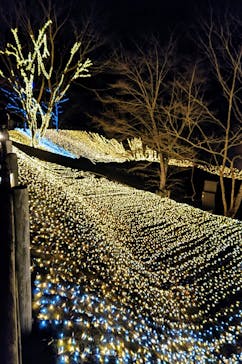 NESTA RESORT KOBE（ネスタリゾート神戸）に投稿された画像（2025/1/4）