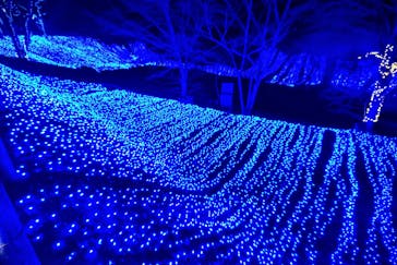 NESTA RESORT KOBE（ネスタリゾート神戸）に投稿された画像（2025/1/4）