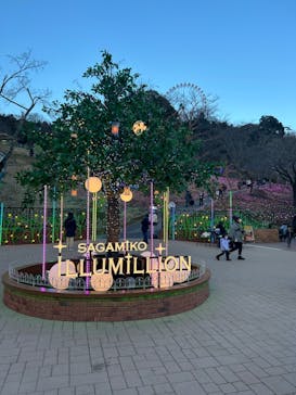 さがみ湖MORI MORIに投稿された画像（2025/1/4）