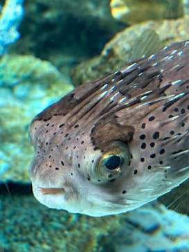 名古屋港水族館に投稿された画像（2025/1/4）