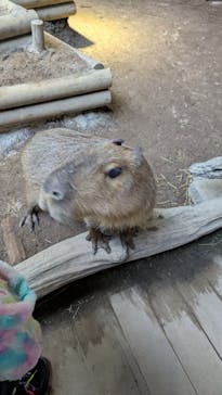 カワスイ 川崎⽔族館に投稿された画像（2025/1/4）