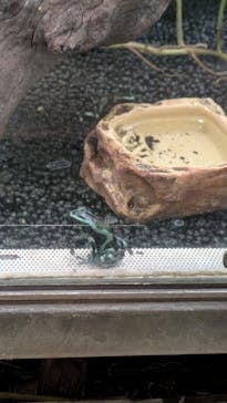 カワスイ 川崎⽔族館に投稿された画像（2025/1/4）