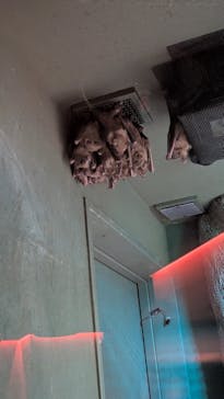 カワスイ 川崎⽔族館に投稿された画像（2025/1/4）