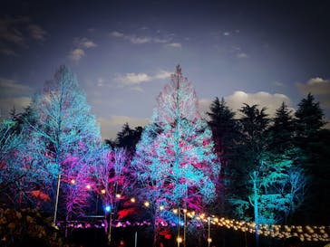 ムーミンバレーパークに投稿された画像（2025/1/4）