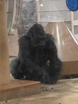 名古屋市東山動植物園に投稿された画像（2025/1/4）