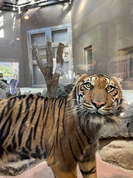 名古屋市東山動植物園に投稿された画像（2025/1/4）