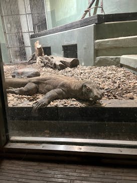 名古屋市東山動植物園に投稿された画像（2025/1/4）