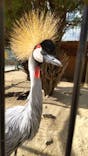 しろとり動物園に投稿された画像（2025/1/5）