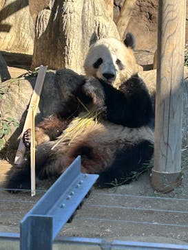 恩賜上野動物園に投稿された画像（2025/1/4）